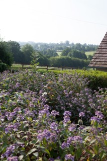 Touques, Chemin De La Coquetiere