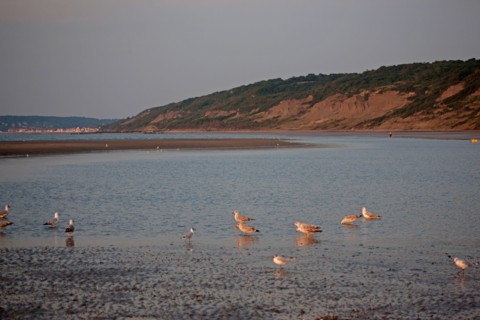 Houlgate, Plage