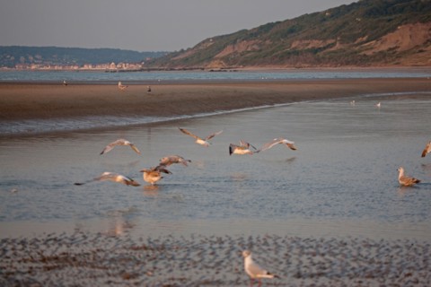Houlgate, Plage