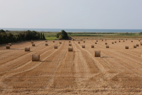 Plages du débarquement, Côte de Nacre