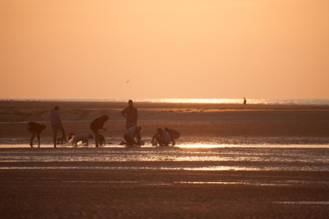 Houlgate, Plage