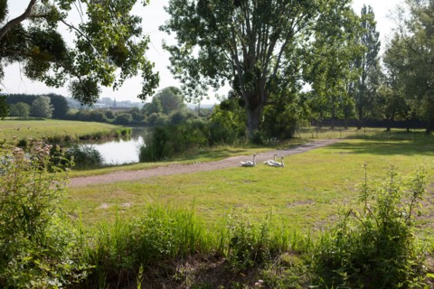 Saint Arnoult,