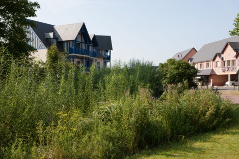Saint Arnoult,