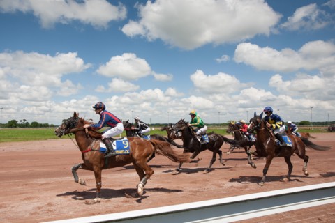 Lisieux, Hippodrome de la Trésorerie