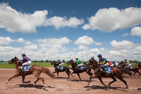 Lisieux, Hippodrome de la Trésorerie