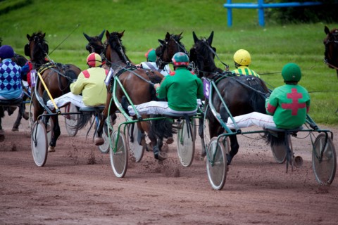 Lisieux, Hippodrome de la Trésorerie