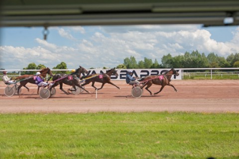 Lisieux, Hippodrome de la Trésorerie