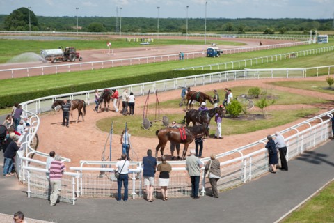 Lisieux, Hippodrome de la Trésorerie