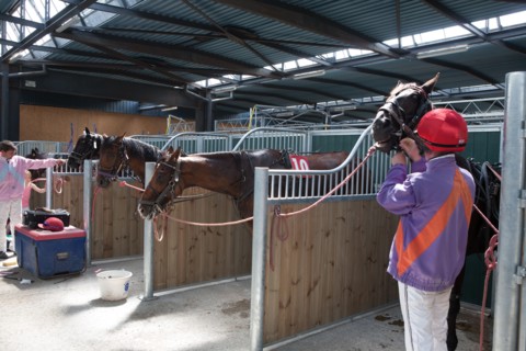 Lisieux, Hippodrome de la Trésorerie