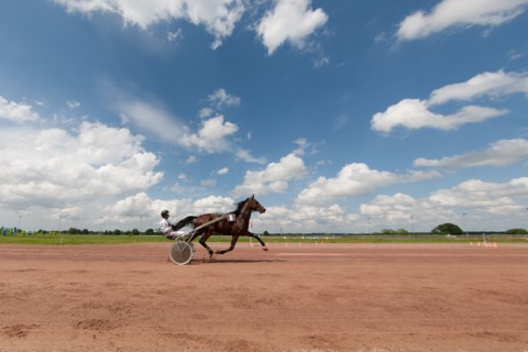 Lisieux, Hippodrome de la Trésorerie