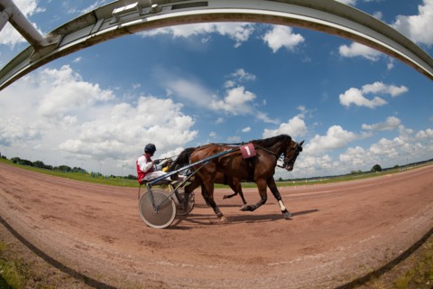 Lisieux, Hippodrome de la Trésorerie