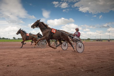 Lisieux, Hippodrome de la Trésorerie