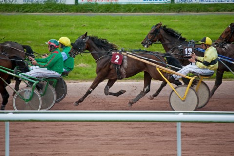 Lisieux, Hippodrome de la Trésorerie
