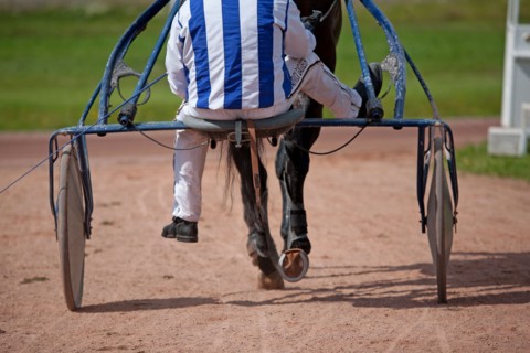 Lisieux, Hippodrome de la Trésorerie