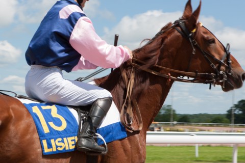 Lisieux, Hippodrome de la Trésorerie