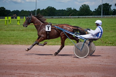 Lisieux, Hippodrome de la Trésorerie