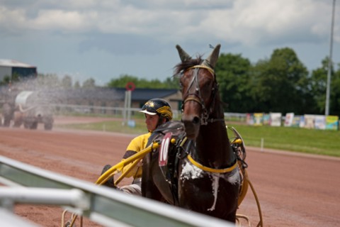 Lisieux, Hippodrome de la Trésorerie