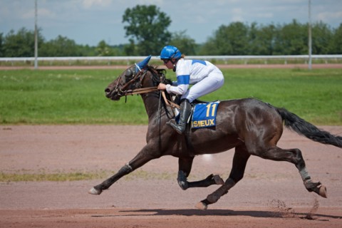 Lisieux, Hippodrome de la Trésorerie