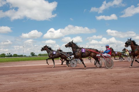 Lisieux, Hippodrome de la Trésorerie