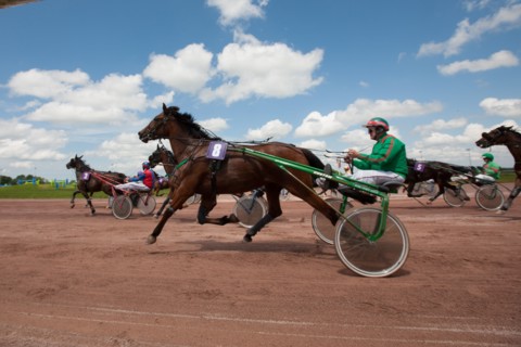 Lisieux, Hippodrome de la Trésorerie