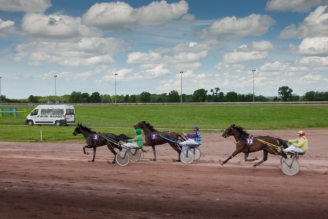 Lisieux, Hippodrome de la Trésorerie