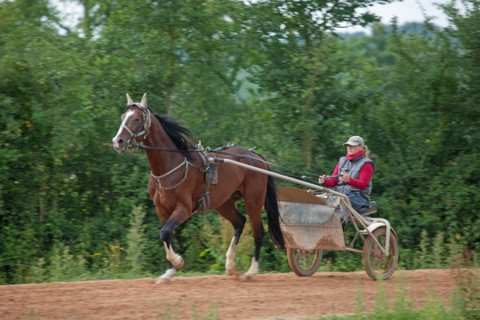 Haras De Pitz, Ecurie Danover
