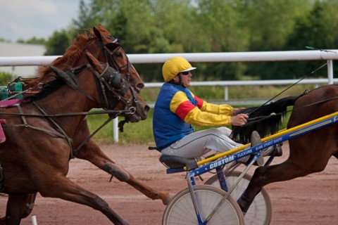 Lisieux, Hippodrome de la Trésorerie