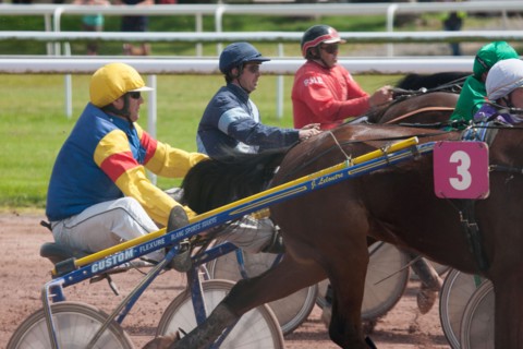 Lisieux, Hippodrome de la Trésorerie