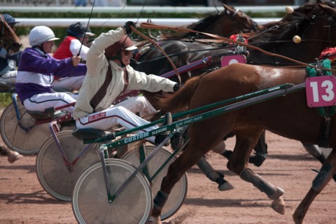 Lisieux, Hippodrome de la Trésorerie