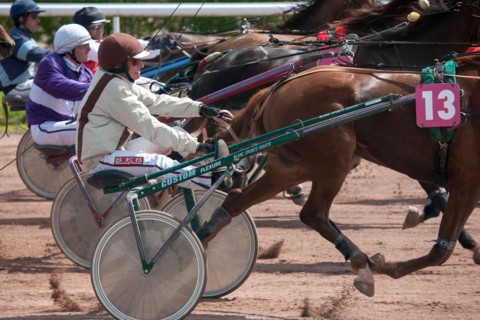 Lisieux, Hippodrome de la Trésorerie