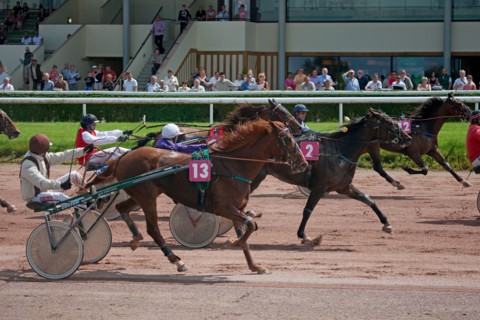 Lisieux, Hippodrome de la Trésorerie