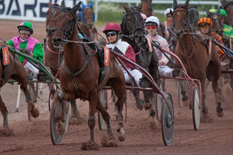 Lisieux, Hippodrome de la Trésorerie