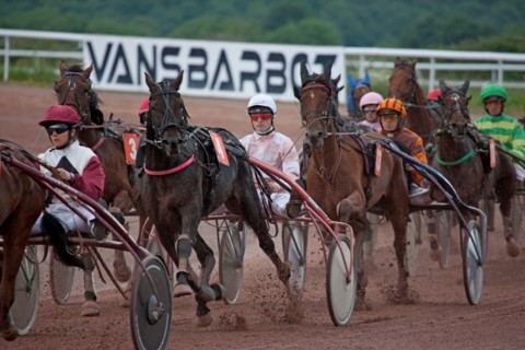 Lisieux, Hippodrome de la Trésorerie