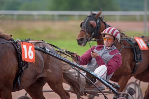Lisieux, Hippodrome de la Trésorerie