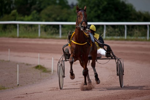Lisieux, Hippodrome de la Trésorerie