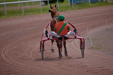 Lisieux, Hippodrome de la Trésorerie
