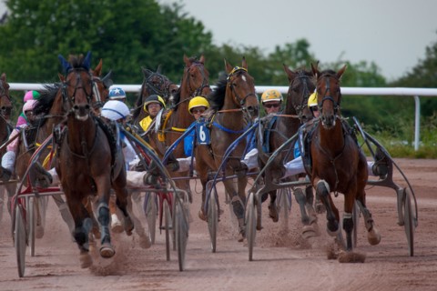 Lisieux, Hippodrome de la Trésorerie