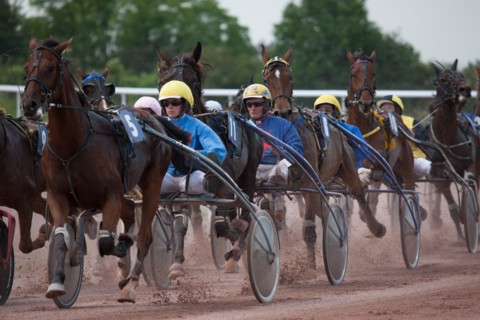Lisieux, Hippodrome de la Trésorerie