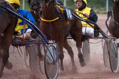Lisieux, Hippodrome de la Trésorerie