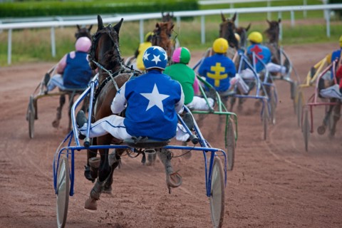 Lisieux, Hippodrome de la Trésorerie