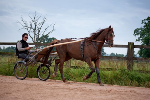 Haras De Pitz, Ecurie Danover