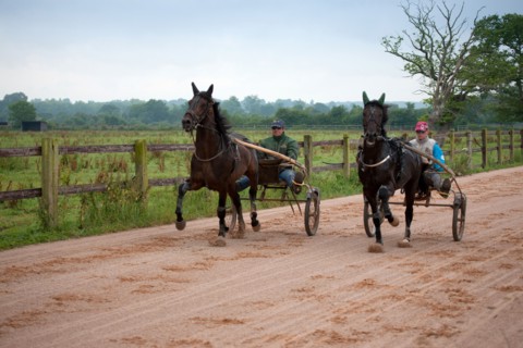 Haras De Pitz, Ecurie Danover