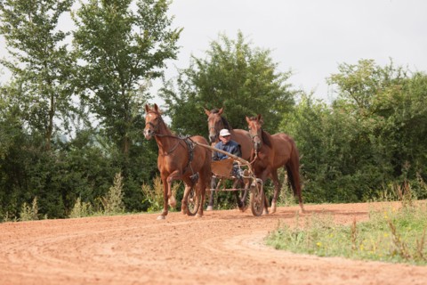 Haras De Pitz, Ecurie Danover