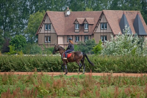 Haras De Pitz, Ecurie Danover
