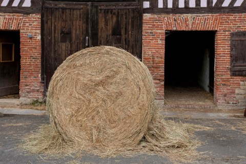 Haras De Pitz, Ecurie Danover