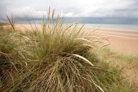 Pays D'Auge, Plage De Merville Franceville