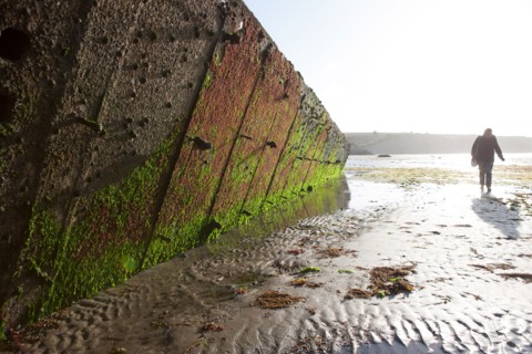 Bessin, Plages Du Débarquement
