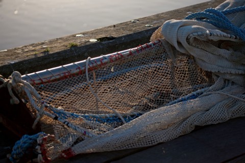 Cote Fleurie, Trouville Sur Mer