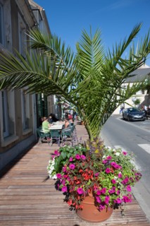 Bessin, Plages Du Debarquement