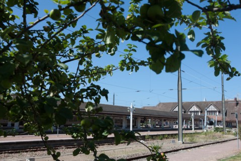 Cote Fleurie, Deauville
